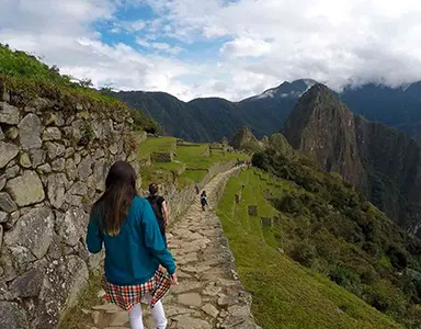 Camino Inca Machu Picchu 2D